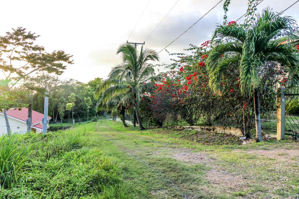 Villa Maya San Ignacio Bagian luar foto